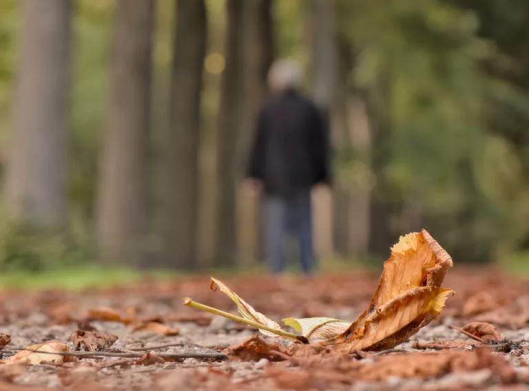 rouwen is anders leren vasthouden - herfst